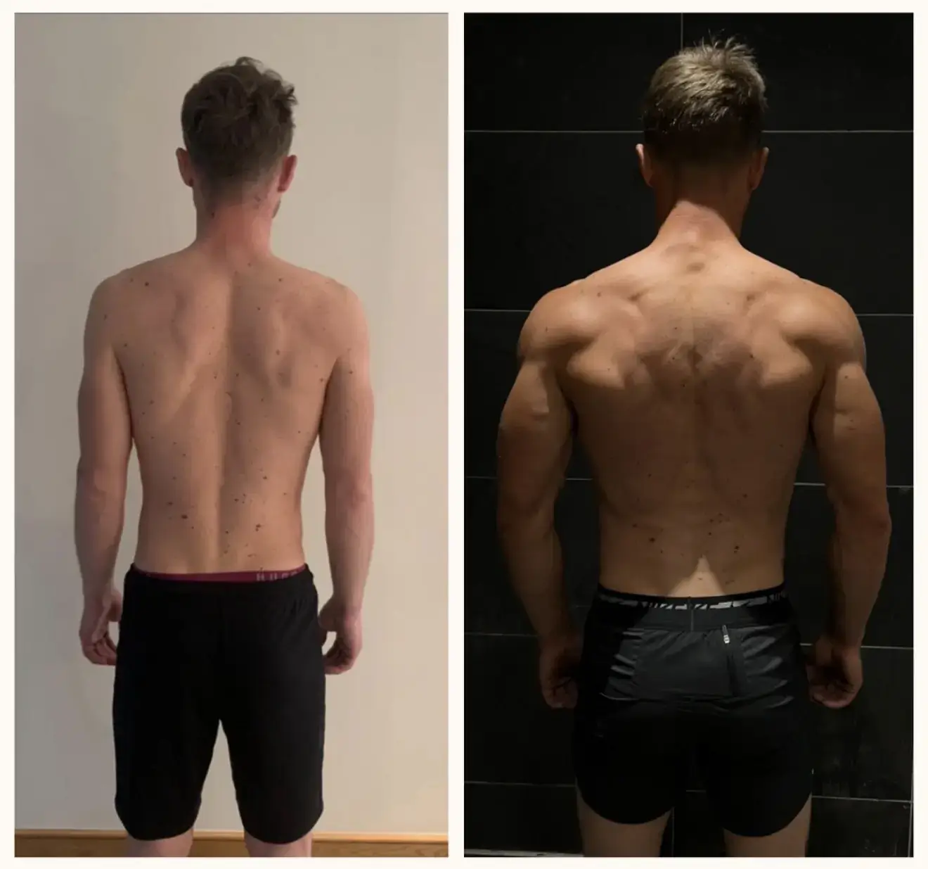 Client body transformation, upper body progress.